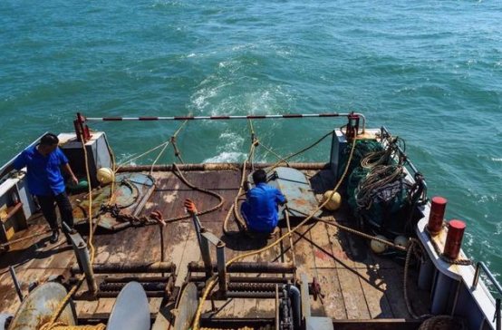 纜繩助力漁民捕魚